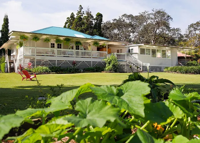 Aloha Junction Bed And Breakfast -Minutes Away From Hawaii Volcanoes National Park