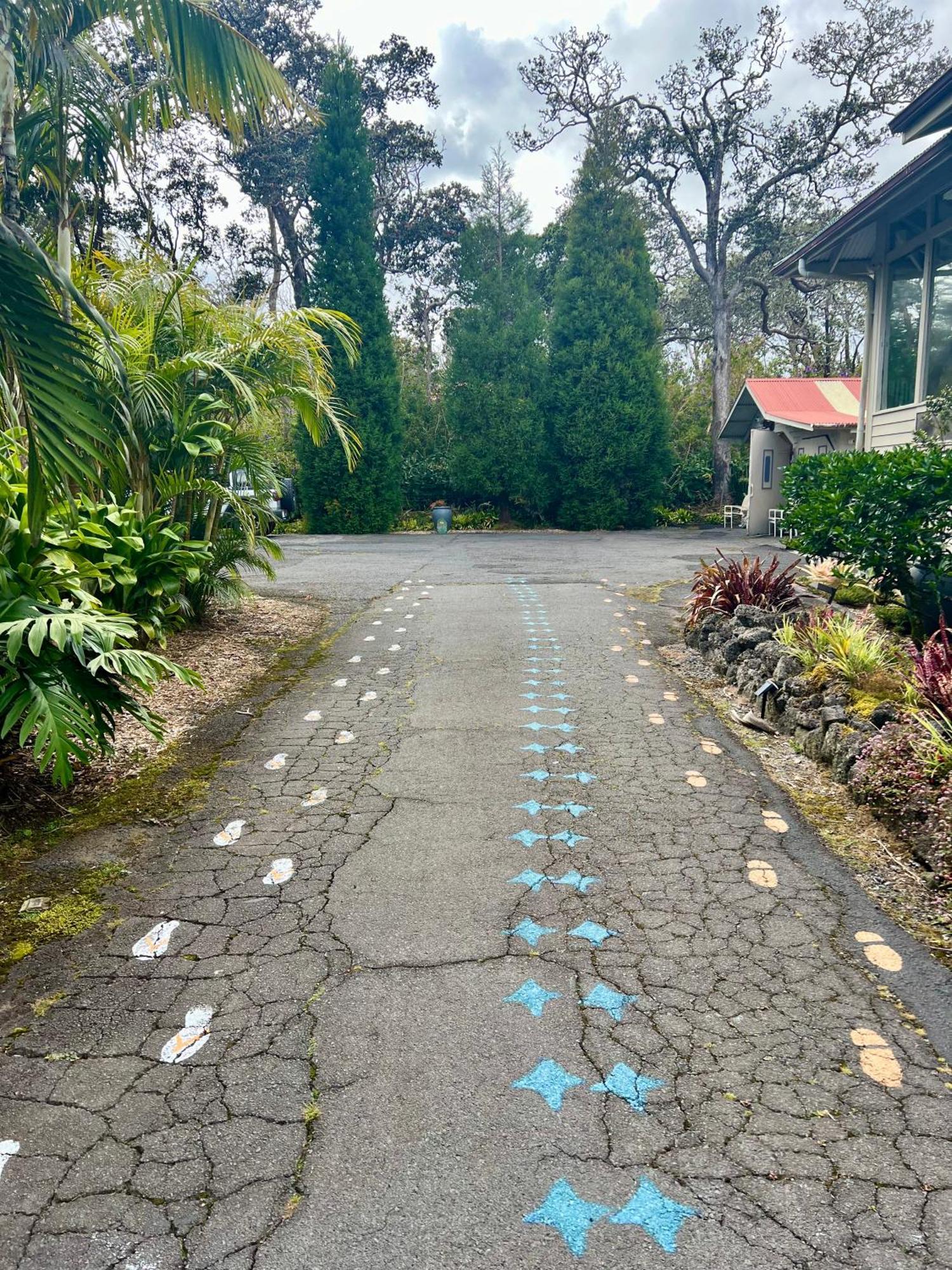Aloha Junction -minutes Away From Hawaii Volcanoes National Park Bed & Breakfast Volcano