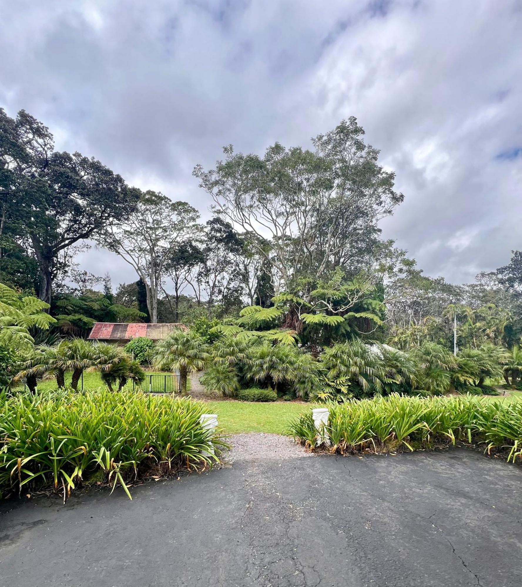 Aloha Junction -minutes Away From Hawaii Volcanoes National Park Bed & Breakfast Volcano