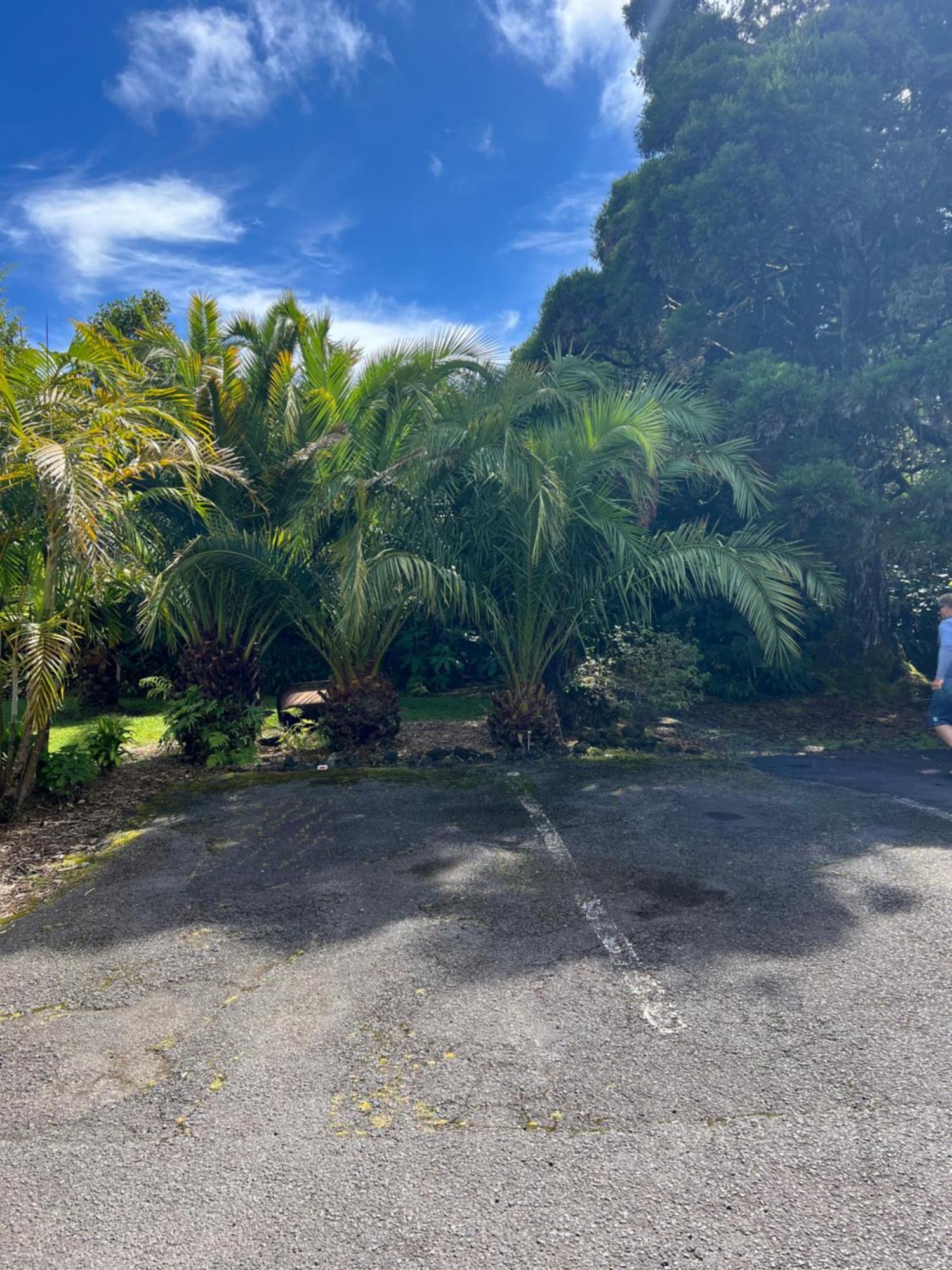 Aloha Junction -minutes Away From Hawaii Volcanoes National Park Volcano