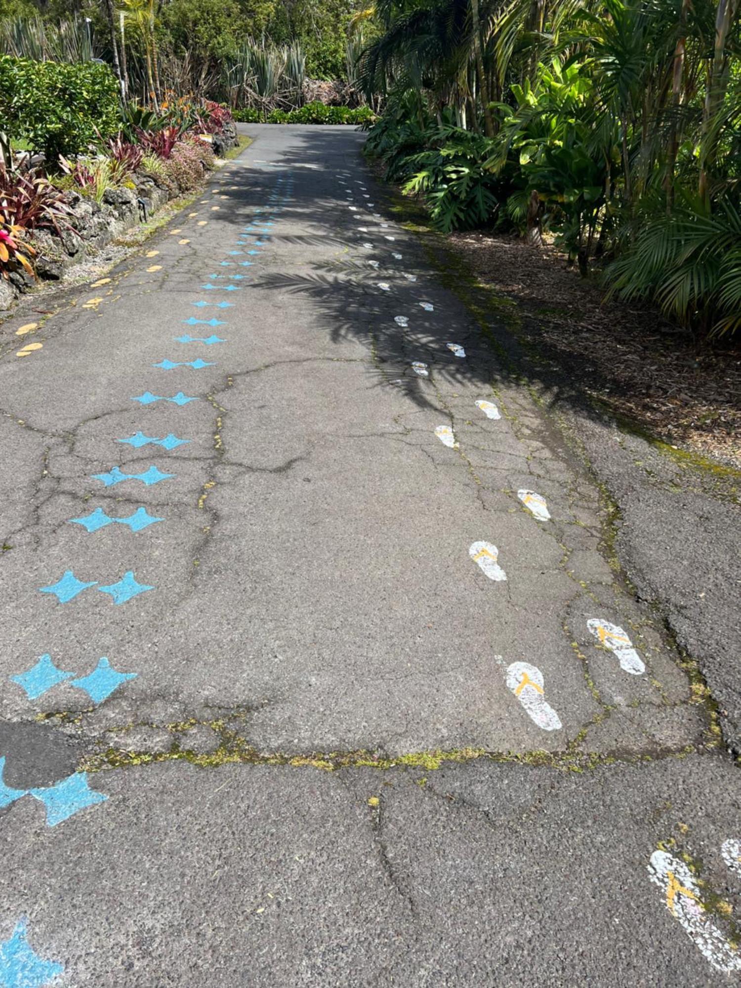 Aloha Junction -minutes Away From Hawaii Volcanoes National Park Bed & Breakfast