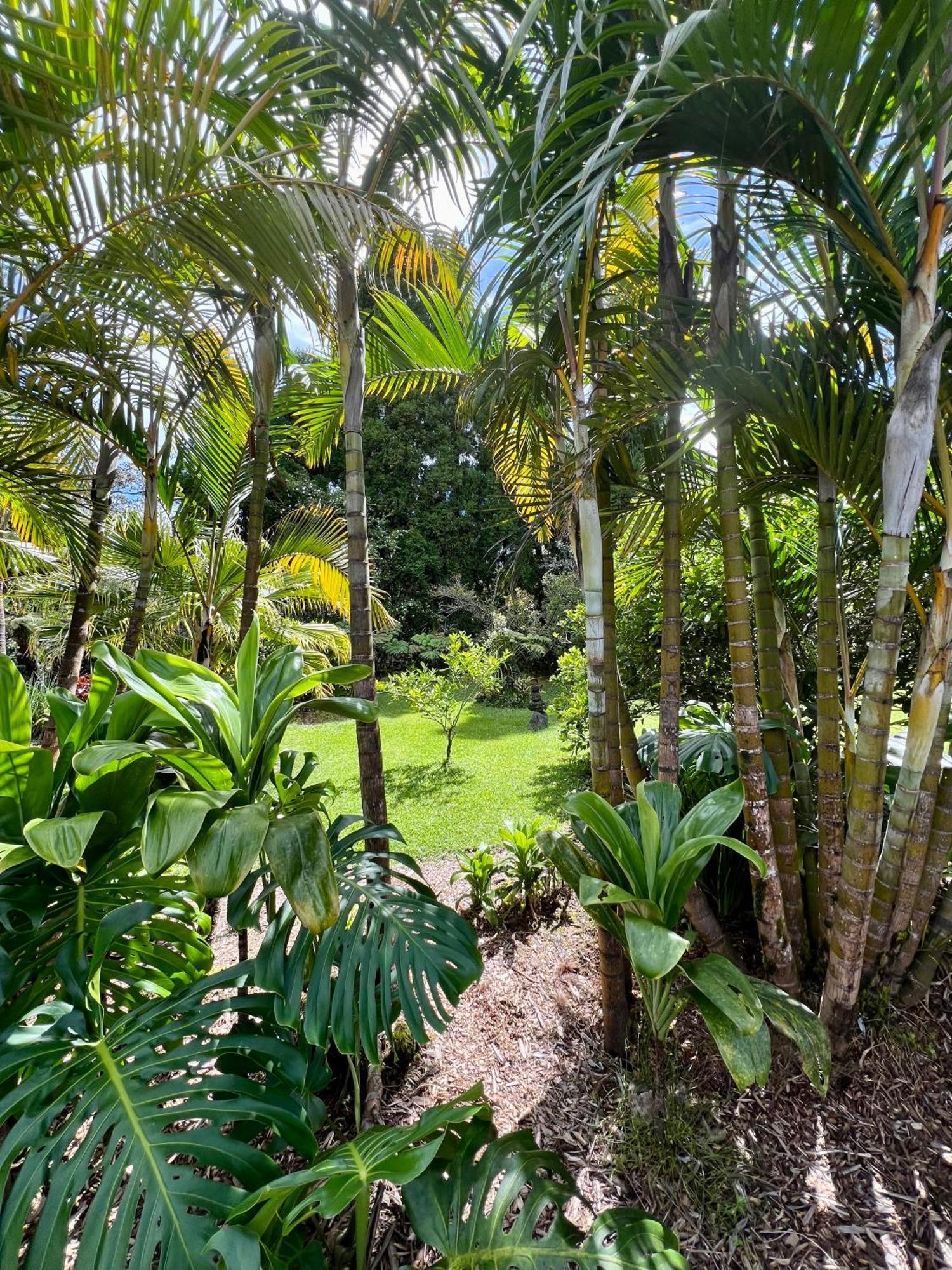 Aloha Junction -minutes Away From Hawaii Volcanoes National Park Bed & Breakfast Volcano