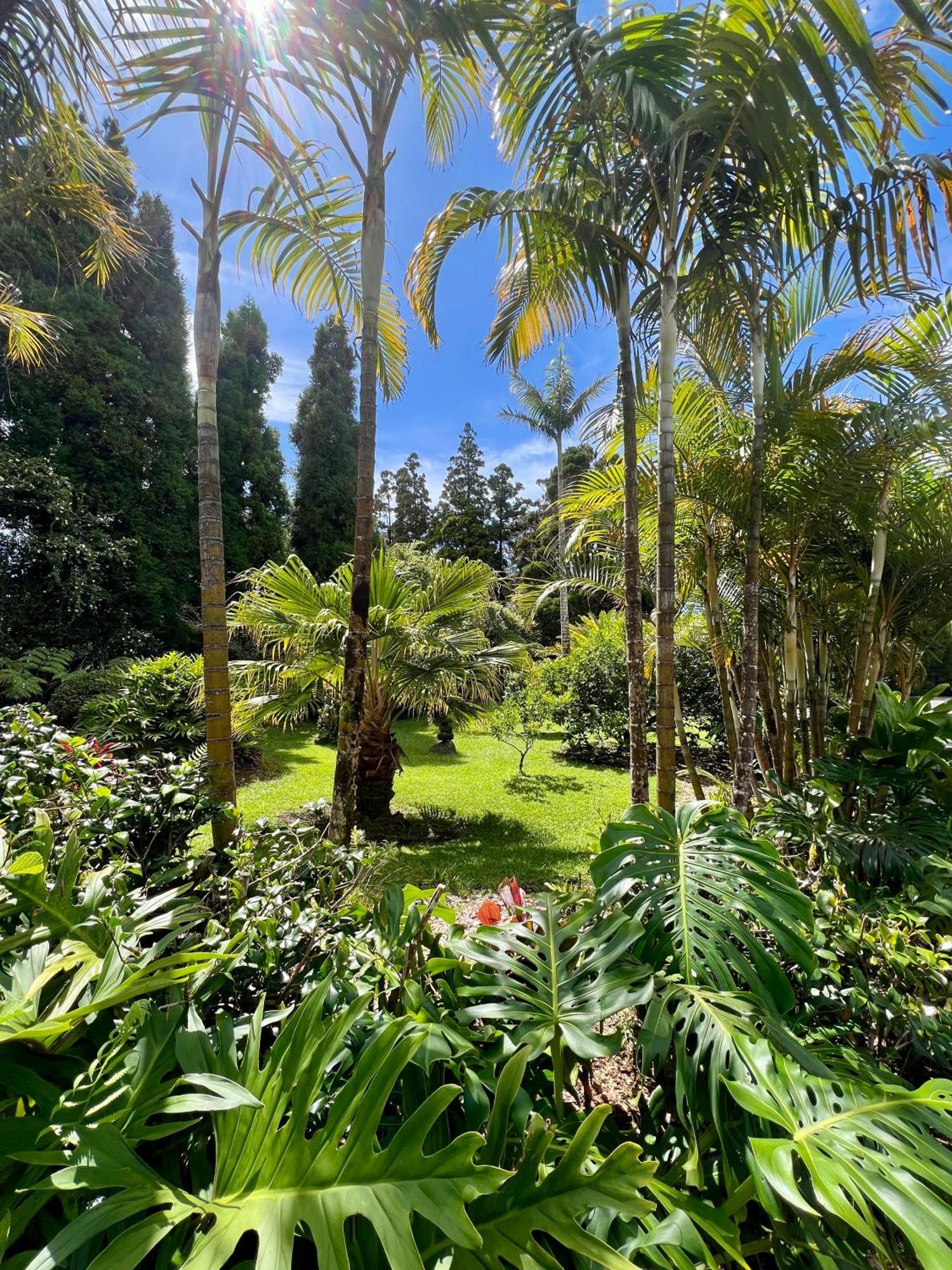 Aloha Junction -minutes Away From Hawaii Volcanoes National Park Bed & Breakfast