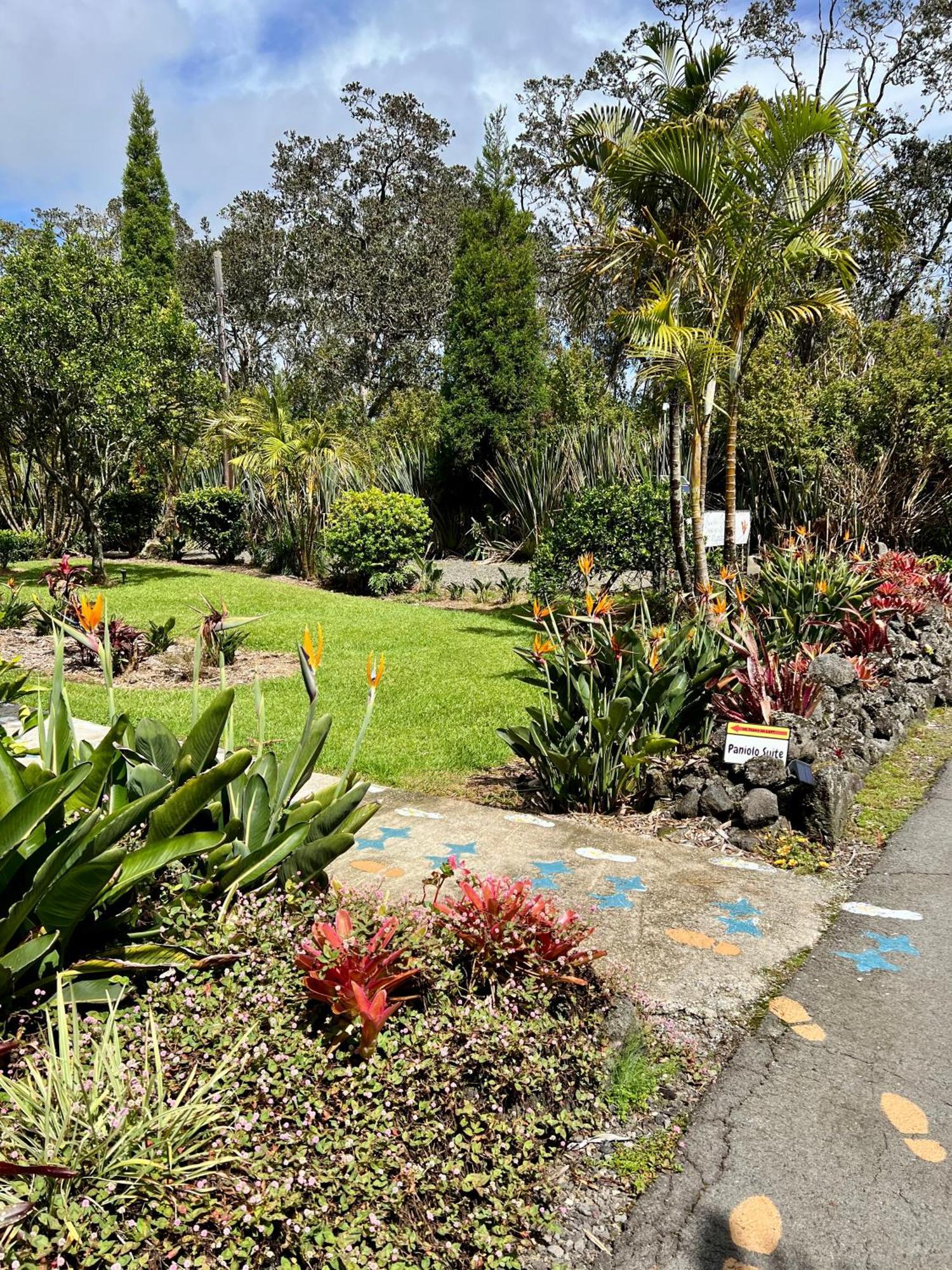 Aloha Junction -minutes Away From Hawaii Volcanoes National Park Bed & Breakfast