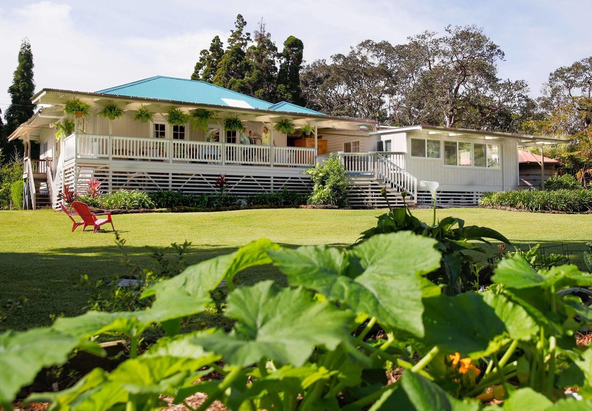 Aloha Junction -minutes Away From Hawaii Volcanoes National Park Bed & Breakfast Volcano